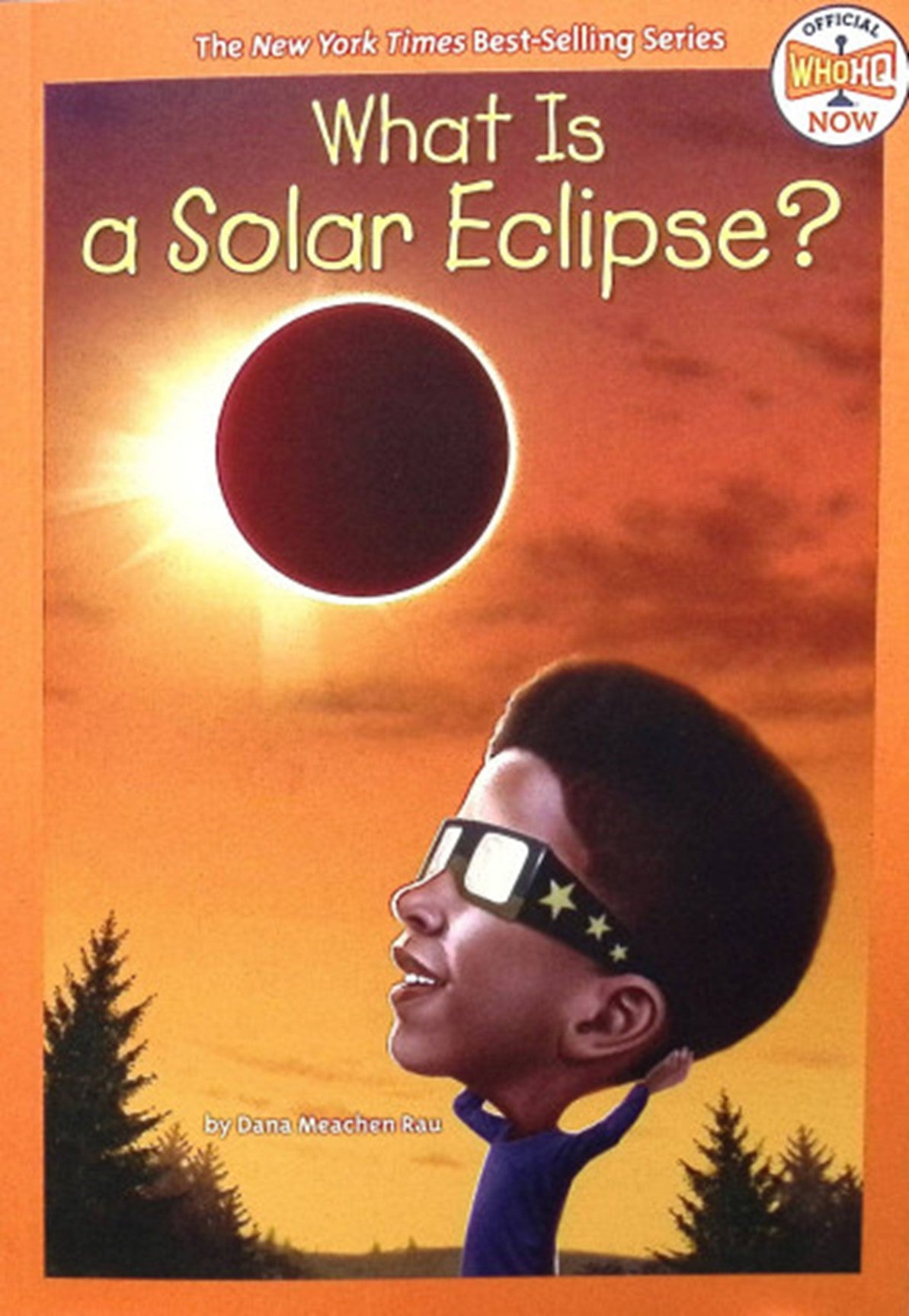 What Is A Solar Eclipse? Book