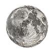 Coin - Moon 1"