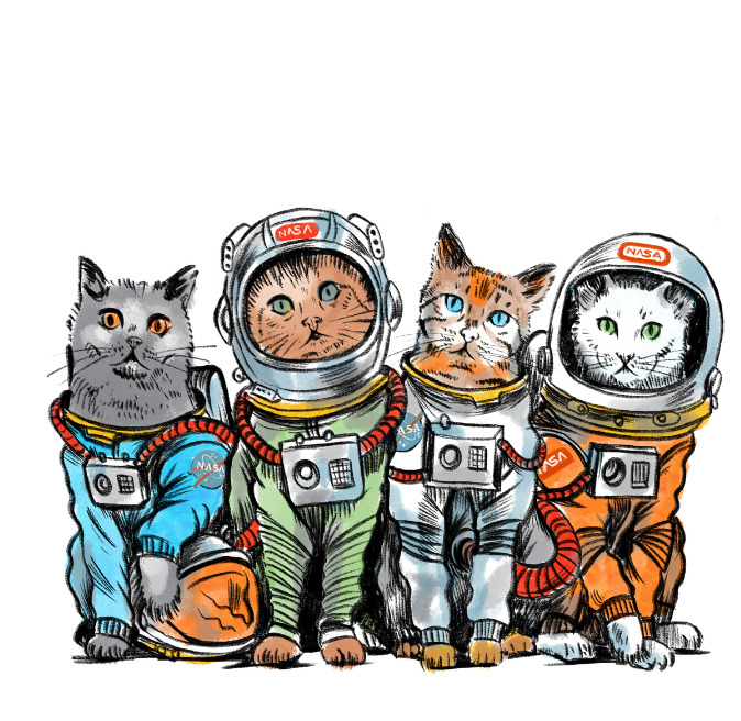 Sweatshirt - Crew Space Cats